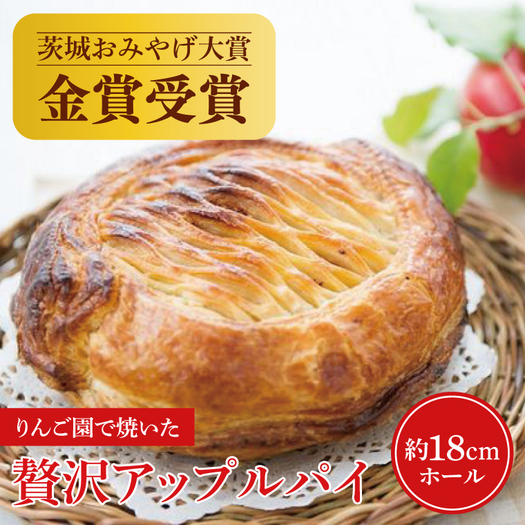 【藤田観光りんご園】りんご園で焼いた贅沢アップルパイ（ホールサイズ）(BJ001)