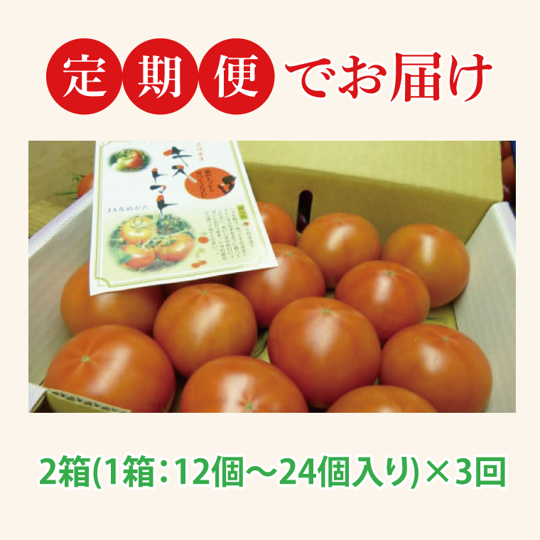 【2026年2月より順次発送】【3ヶ月定期便】★フルーツトマト★KISSトマト 2箱｜トマト とまと フルーツ フルーツトマト KISSトマト 先行予約 定期便 茨城県 行方市(AC-6)