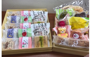 【長野県坂城町】信州坂城が誇る銘菓 和菓子と洋菓子の詰め合わせセット お菓子 スイーツ