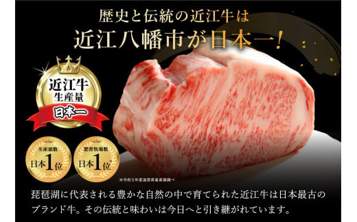 数量限定　希少近江牛　ミックスホルモン1ｋｇ(200g×5パック)小分けで便利【FO31W】