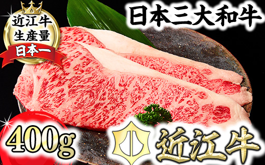 �y���ꌧ�ߍ]�����s�z����ߍ]���T�[���C���X�e�[�L�Q���i400���j�yFO32W�z