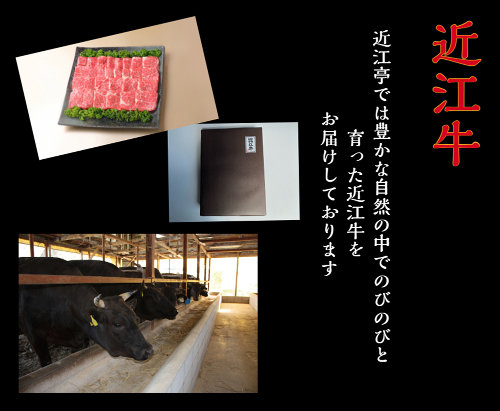 近江牛ステーキ用サーロイン【440ｇ（220ｇ×2枚）】【AB92W】