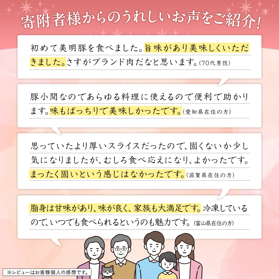 茨城県桜川市のふるさと納税 【3ヵ月 定期便】 美明豚 小間切れ 1kg×3回 合計3kg (茨城県共通返礼品 行方市) 国産 豚肉 冷凍 小分け こま切れ 切り落とし 豚 ぶた 肉 ポーク ブランド豚 豚こま 豚こま切れ [CV016sa]