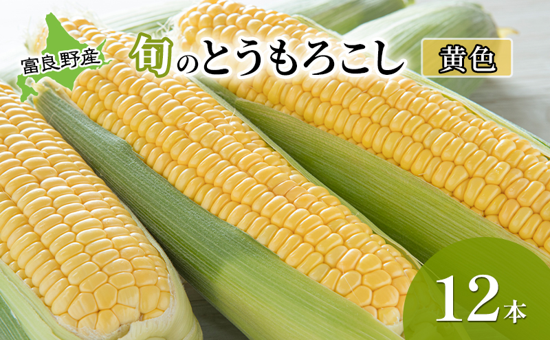 こころ米 5kg×2点セット 北海道富良野産 R6産 北海道米の味比べセット お米 通販 お取り寄せ ギフト 北海道