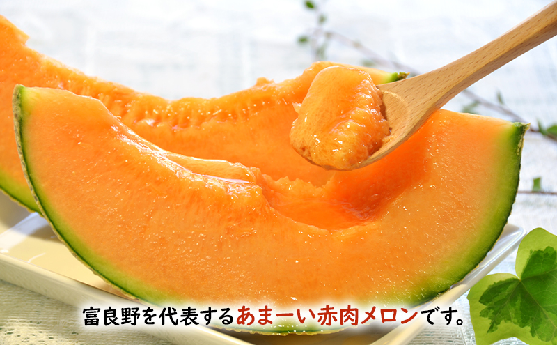 【2026年夏発送】 メロン 北海道 富良野メロン 赤肉2玉 北海道 ふらの めろん 果物 フルーツ 甘い ジューシー