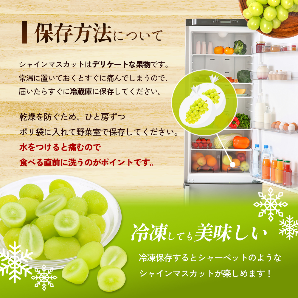 香川県東かがわ市のふるさと納税 訳あり シャインマスカット 1.1kg 2房 家庭用 香川県産 ぶどう ブドウ 葡萄 マスカット フルーツ 果物 くだもの 旬のフルーツ 旬の果物 不揃い 訳アリ 香川 香川県 東かがわ市