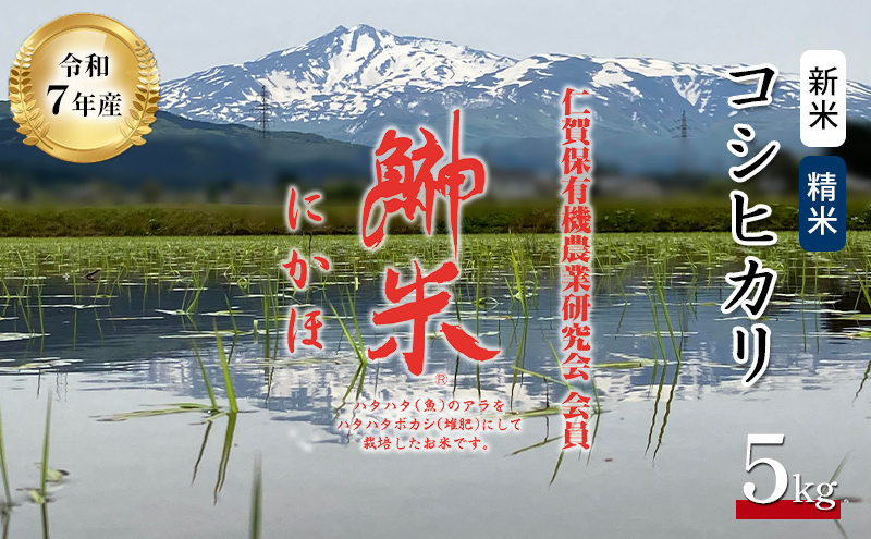 令和7年産 新米 11月から発送 特別栽培米 鰰米 コシヒカリ にかほ 精米 5kg