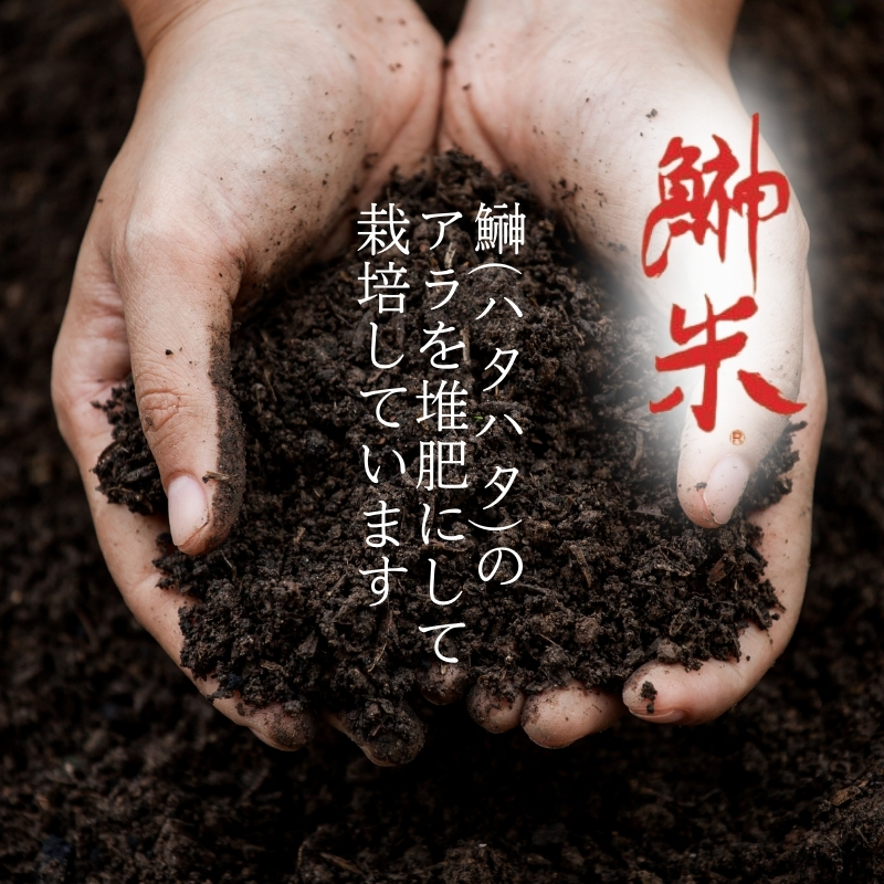 令和7年産11月から発送 特別栽培米 鰰米 コシヒカリ にかほ 精米 5kg