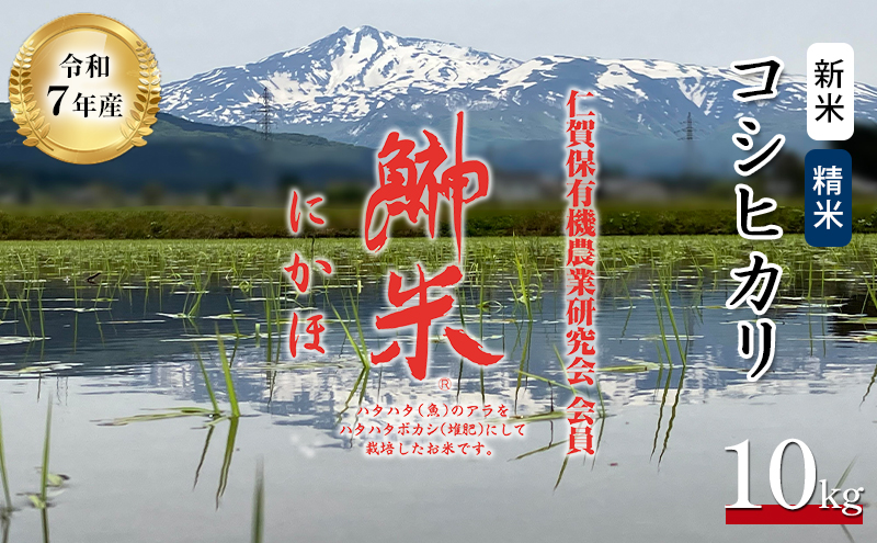 令和7年産 新米 11月から発送 特別栽培米 鰰米 コシヒカリ にかほ 精米 10kg