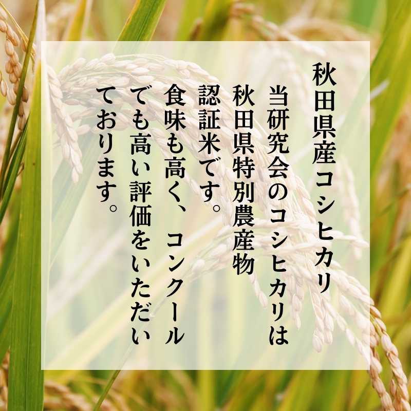 令和7年産 新米 11月から発送 特別栽培米 鰰米 コシヒカリ にかほ 精米 10kg