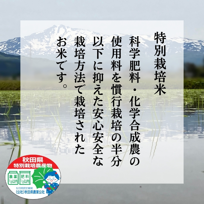 令和7年産 新米 11月から発送 特別栽培米 鰰米 コシヒカリ にかほ 精米 10kg