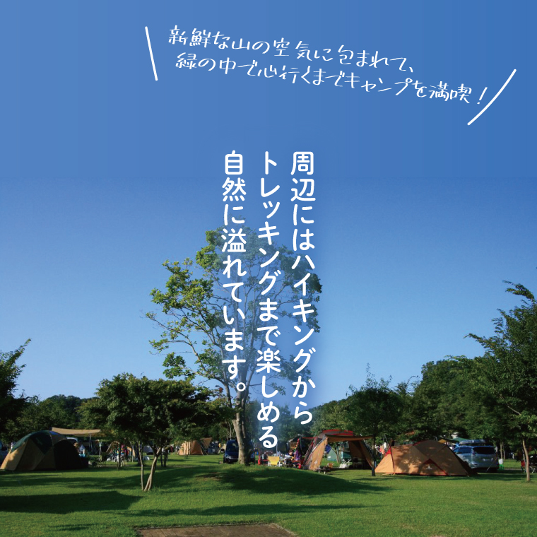 大子広域公園オートキャンプ場『グリンヴィラ』 フリーサイト 施設利用券(BQ003)