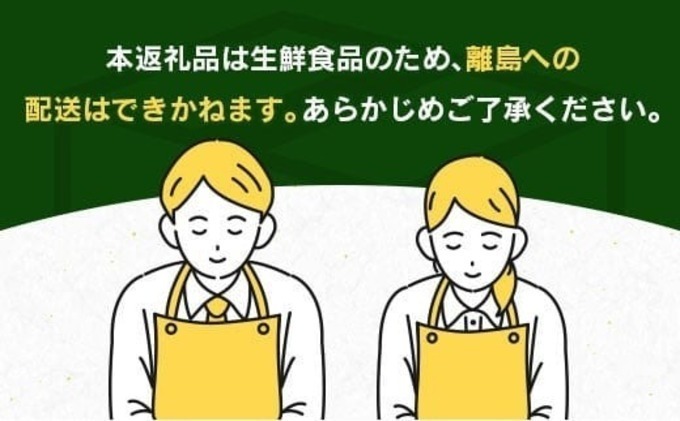 宮崎県日南市のふるさと納税 先行予約 酸味と甘味は恋の味 恋する 日向夏 計3kg以上 令和8年発送 期間限定 数量限定 果物 くだもの フルーツ 国産 食品 柑橘 みかん 蜜柑 オリジナル ブランド デザート おやつ ひゅうがなつ おすすめ おすそ分け 手土産 ギフト 宮崎県 日南市 送料無料_AV1-25