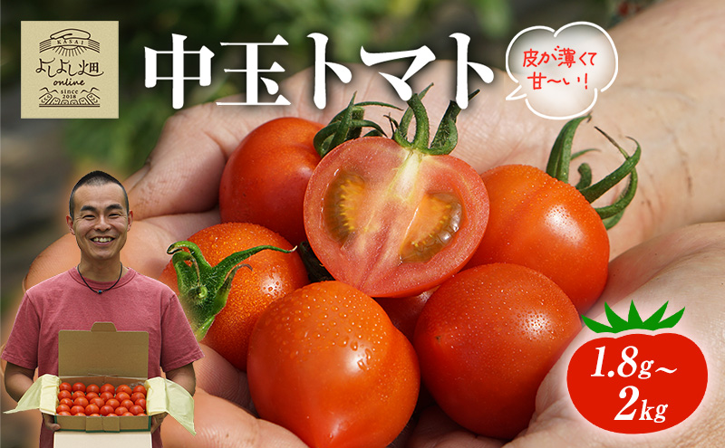 yɌsz悵悵̂܁` g}g ( ʃg}g ) 1.8kg ` 2kg x VN Yn  Ƃ܂   Mtg 