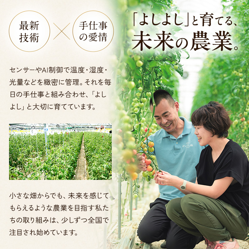 よしよし畑のあま～い トマト ( 中玉トマト ) 1.8kg ～ 2kg 程度 新鮮 産地直送  とまと おいしい おすすめ ギフト お取り寄せ