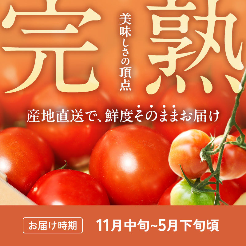 よしよし畑のあま～い トマト ( 中玉トマト ) 3.8kg ～ 4kg 程度 新鮮 産地直送  とまと おいしい おすすめ ギフト お取り寄せ