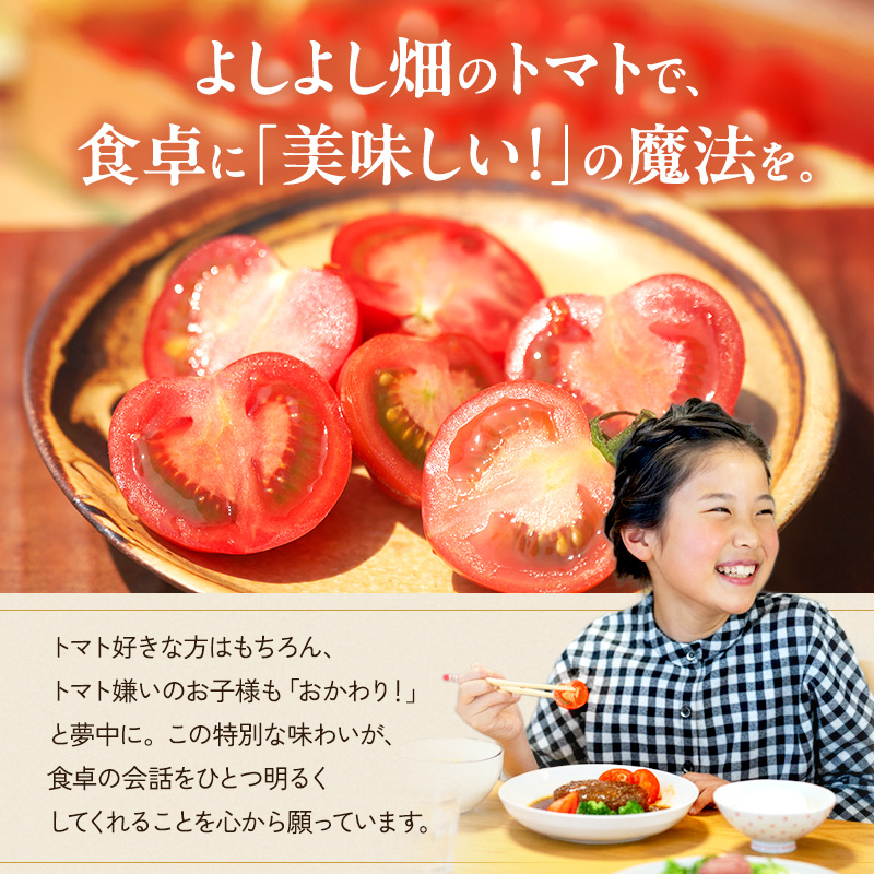 よしよし畑のあま～い トマト ( 中玉トマト ) 3.8kg ～ 4kg 程度 新鮮 産地直送  とまと おいしい おすすめ ギフト お取り寄せ