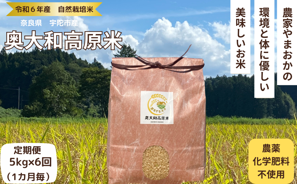 ☆自然栽培米 ☆定期便 毎月6回☆新米 【令和6年産 】玄米 5kg