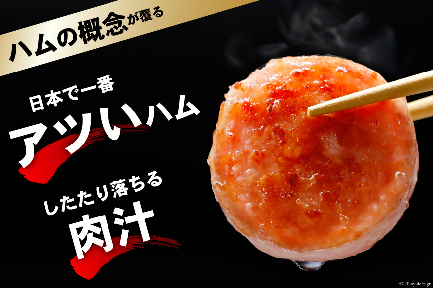 長崎県島原市のふるさと納税 ED193 雲仙ハム ソーセージ大 800g×2本【絶品 人気 ウインナー ソーセージ おつまみ ギフト 肉 お弁当 おかず 小分け 便利 国産 豚肉 BBQ お歳暮 お中元 長崎県 島原市】