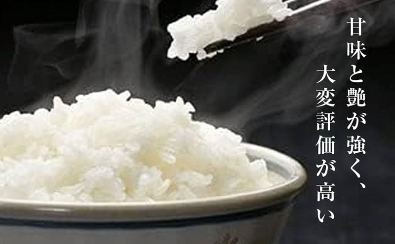 極上魚沼産コシヒカリ 無洗米 ゆきまち米 1kg こしひかり 白米 ご飯 精米 お米 米 コメ 新潟県