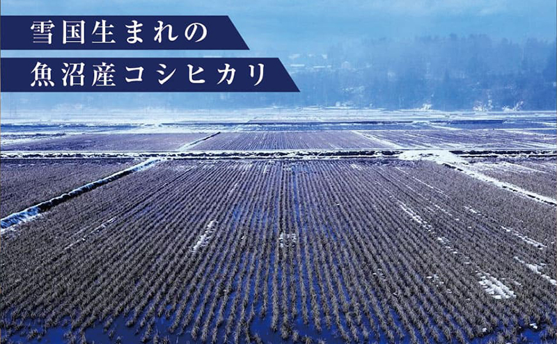 極上魚沼産コシヒカリ 無洗米 ゆきまち米 1kg こしひかり 白米 ご飯 精米 お米 米 コメ 新潟県