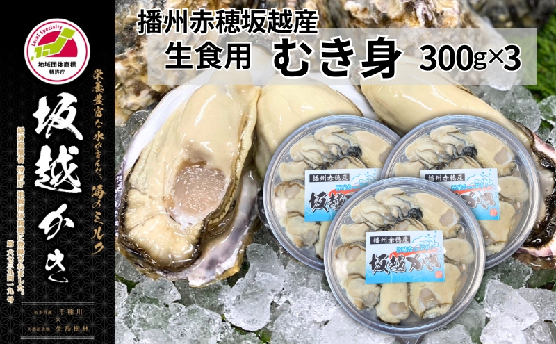 【休業日はプロフ参照】生食用 剥き身 牡蠣 500ｇ×３本 カキ 牡蛎 むき身 松島牡蠣屋 牡蠣鍋に カキ 牡蠣 カキフライ 牡蠣のアヒージョ 生牡蠣 牡蠣 坂越かき 生食用 むき身 300g×3個 (計900g)[ 生牡蠣 冬牡蠣