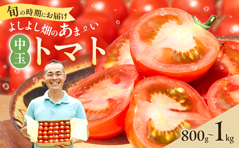 【最旬お届け!!】よしよし畑のあま～い トマト ( 中玉トマト ) 800g ～ 1kg 程度 新鮮 産地直送 冷蔵 とまと おいしい おすすめ ギフト お取り寄せ