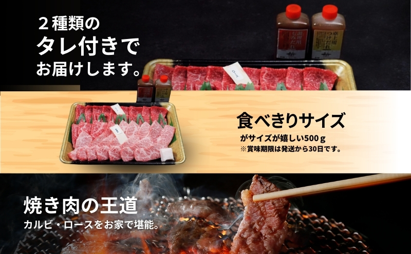 カルビ ロース 食べ比べセット 京の肉 500g たれ付き 焼肉用 ブランド牛 黒毛和牛 和牛 牛 牛肉 お肉 肉 焼き肉用肉 焼肉 焼き肉 アウトドア キャンプ BBQ カルビ肉 ロース肉 食べ比べ セット 詰め合わせ タレ 最高級 冷凍 京都 京都府 南丹市
