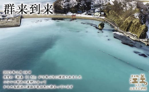 北海道江差町のふるさと納税 日本遺産ギフトBOX　江差前浜産トロにしんの昆布巻＆甘露煮セット　「江差の五月は江戸にもない」　直火焚き手作り　旨みたっぷりのにしん　骨までやわらか　保存料不使用　便利なレトルトパック　常温保存可能　ニシン　鰊　鯡　北海道産　【思いやり型返礼品】