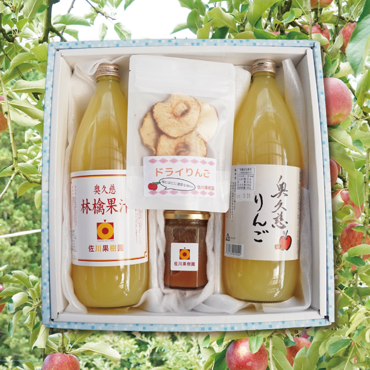 サガワフルーツガーデン りんご加工品 贅沢3種セット【りんごジュース2本、ドライりんご1袋、りんごバター150g】(CC001)