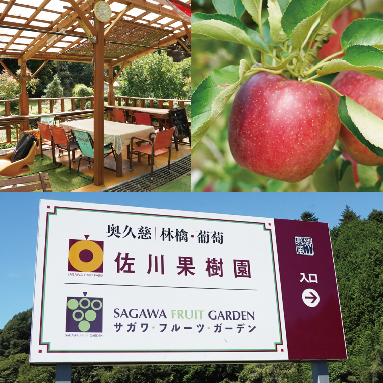 サガワフルーツガーデン りんご加工品 贅沢3種セット【りんごジュース2本、ドライりんご1袋、りんごバター150g】(CC001)