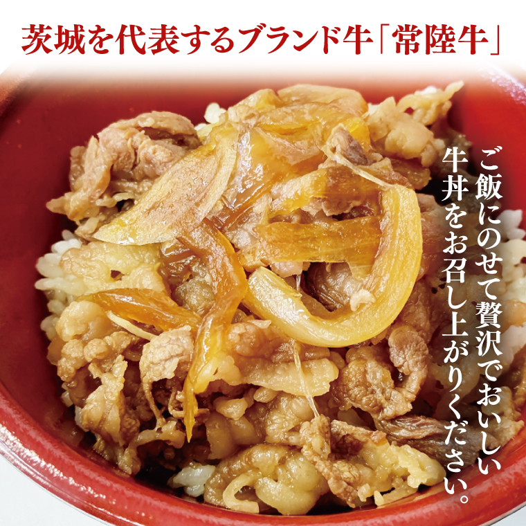 冷凍牛丼の具　150g×5袋（茨城県共通返礼品）（AP003）