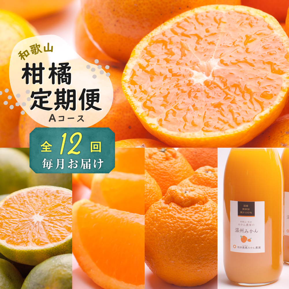 DZ6238_Y_【直営限定】家庭用 訳あり 有田みかん 和歌山 2S～Lサイズ