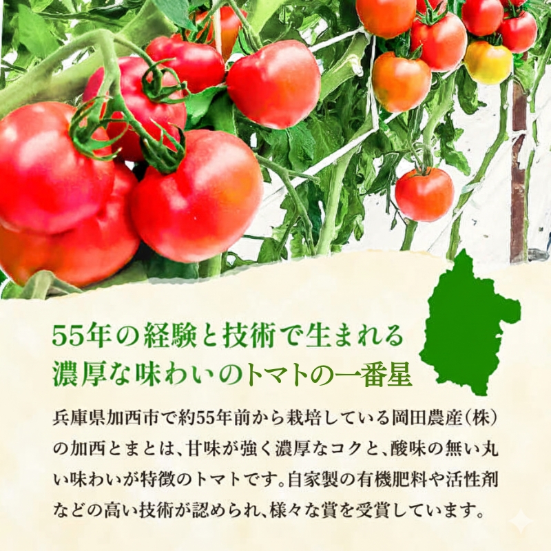 トマト 2kg+トマトの一番星ピューレ 380g×3本セット 兵庫県産 野菜 とまと 完熟 高糖度 濃厚 甘い 賞 受賞 糖度 夏野菜 あまい お取り寄せ 冷蔵配送