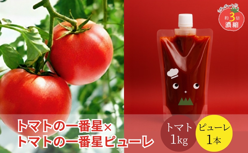トマト 1kg+トマトの一番星ピューレ 380g×1本セット 兵庫県産 野菜 とまと 完熟 高糖度 濃厚 甘い 賞 受賞 糖度 夏野菜 あまい お取り寄せ 冷蔵配送