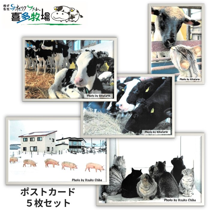 �y�k�C����ʎs�z3-4 �쑽�q��|�X�g�J�[�h�Z�b�g