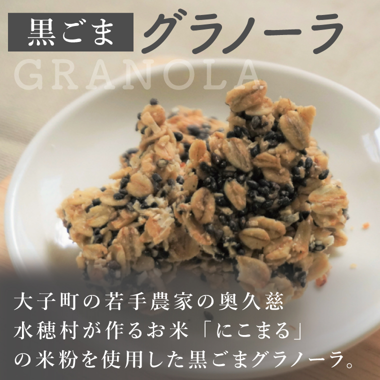 【店主おまかせ】焼き菓子詰め合わせセット≪ミチルベーカリー≫｜茨城県 大子町 手作り お菓子 焼菓子 グラノーラ クッキー サブレ 詰合せ ギフト プレゼント 贈答（CF002）