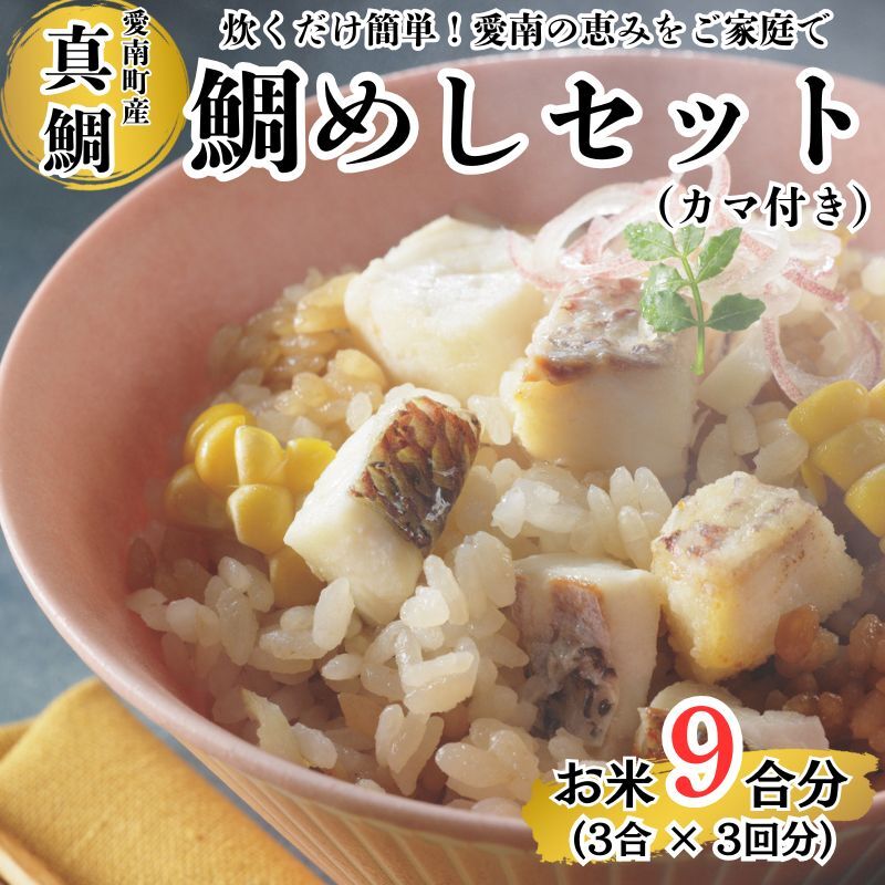 鯛めしセット （180ｇ×３パック） カマ付き まだい 鯛 冷凍 ダイスカット サイコロ コロコロ 角切り 鯛めし 釜めし 炊き込みご飯 10000円  おかず 惣菜 つまみ 入れるだけ 国産 魚介 特産品 魚介類 海産物 鮮魚 養殖 産地直送 海鮮 ブランド 簡単 お正月 お祝い 年末 年始 クリスマス パーティ お食い初め パック 愛南町 愛媛県 愛南サン・フィッシュ