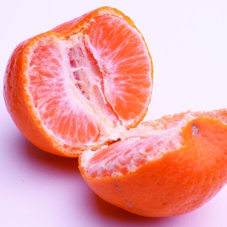 ＜1月より発送＞厳選 ポンカン2.5kg+250g（傷み補償分） ※北海道・沖縄・離島への配送不可 ※2026年1月下旬～2月下旬頃に順次発送予定