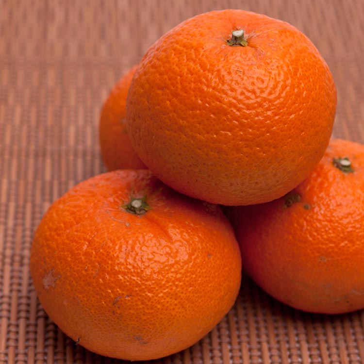 ＜2月より発送＞厳選 津之輝7.5kg+250g（傷み補償分）｜つのかがやき【光センサー選別】 ※北海道・沖縄・離島への配送不可 ｜ 柑橘 フルーツ 果物 濃厚 春 旬 和歌山 先行予約 選べる 国産 産地直送 春柑橘 美浜町　※2026年2月上旬～4月中旬頃に順次発送予定