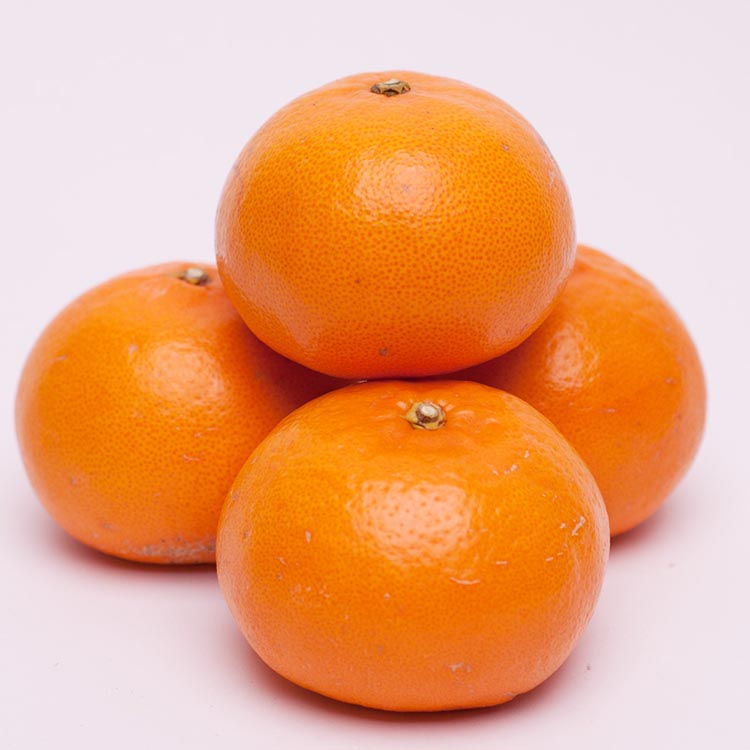 ＜2月より発送＞厳選 せとか5kg+250g（傷み補償分）◇｜柑橘・春みかんの王様【光センサー選果・食べ頃出荷】※北海道・沖縄・離島への配送 ※2026年2月中旬～3月下旬頃に順次発送予定