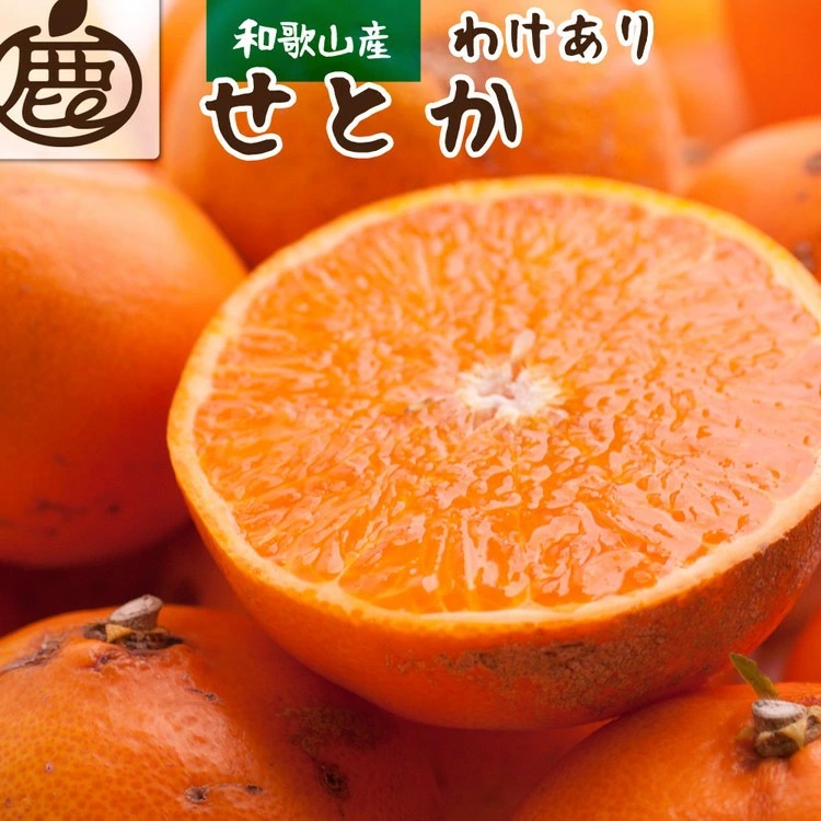 【和歌山県美浜町】<2月より発送>家庭用 せとか5kg+250g(傷み補償分)【柑橘・春みかんの王様】【光センサー選果・食べ頃出荷】訳あり わけあり ワケアリ ◇ ※北海道・沖縄・離島への配送不可 ※2026年2月中旬〜3月下旬頃に順次発送予定