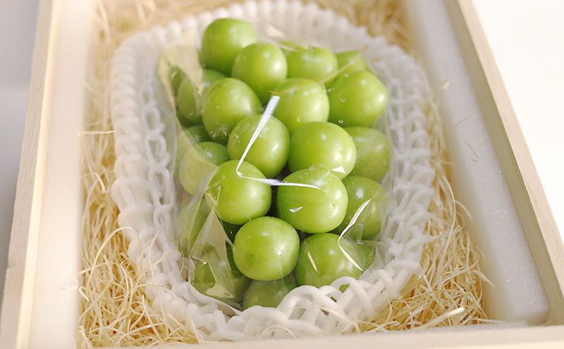 ぶどう 2026年 先行予約 シャインマスカット 1房 800g以上 桐箱入り 備州の国 絆 慶祥苑 贈り物 贈答 のし対応 岡山県 赤磐市 ブドウ 葡萄 果物 フルーツ 