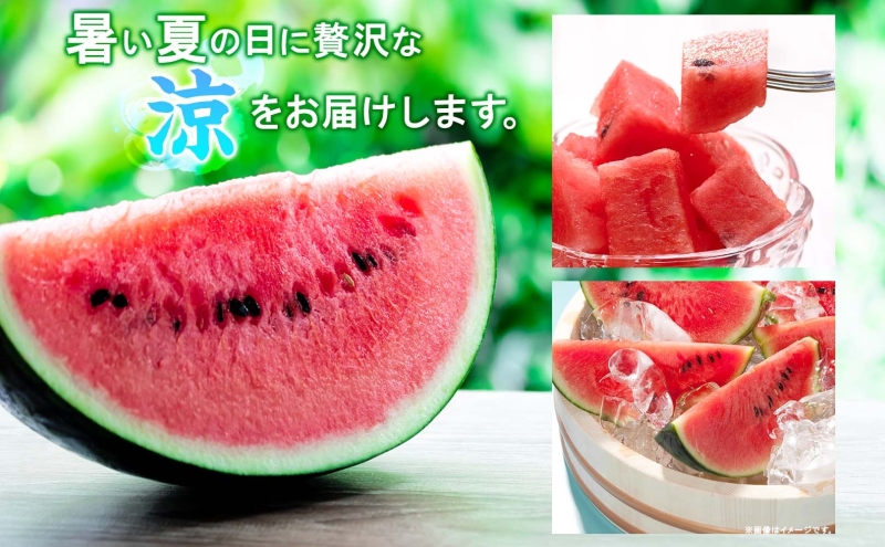 北海道 大玉 スイカ ゴジラのたまご 1玉 約8kg 2026年7月初旬より順次出荷 すいか 西瓜 果物 フルーツ 旬 希少 貴重 甘い ユニーク 国産 産地直送 ギフト お祝い 贈答品 贈り物 お取り寄せ エーコープつきがた