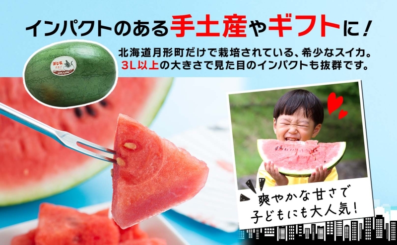 北海道 大玉 スイカ ゴジラのたまご 木箱入り 1玉 約8kg 2026年7月初旬より順次出荷 すいか 西瓜 果物 フルーツ 旬 希少 貴重 甘い ユニーク 国産 産地直送 ギフト 贈答品 お取り寄せ エーコープつきがた