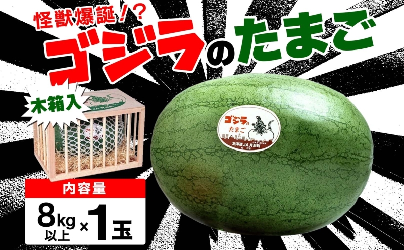 北海道 大玉 スイカ ゴジラのたまご 木箱入り 1玉 約8kg 2026年7月初旬より順次出荷 すいか 西瓜 果物 フルーツ 旬 希少 貴重 甘い ユニーク 国産 産地直送 ギフト 贈答品 お取り寄せ エーコープつきがた