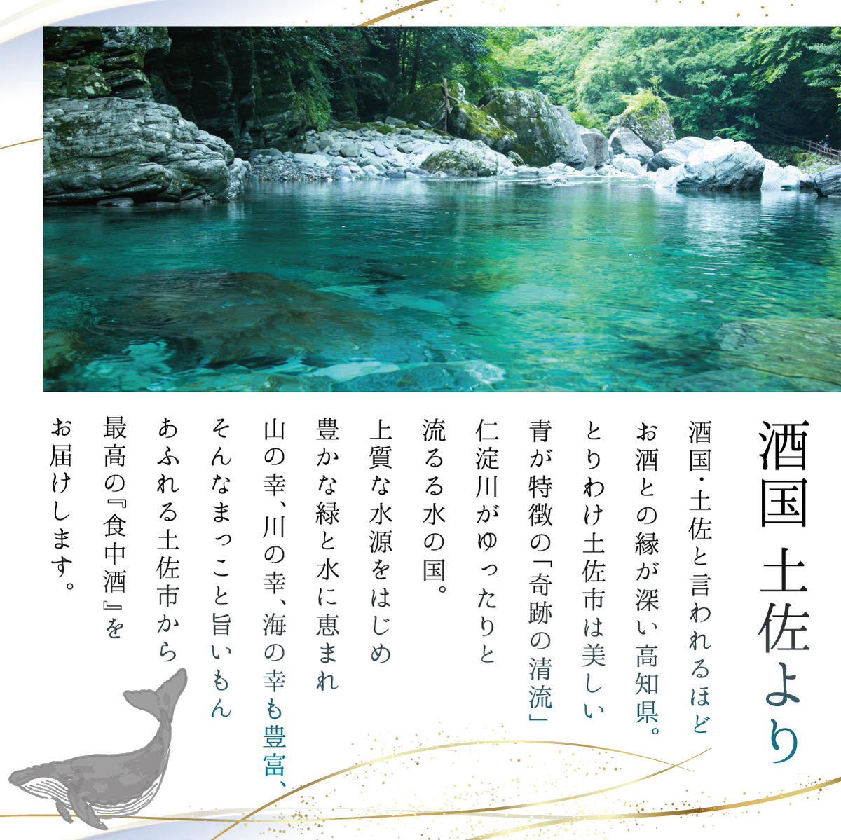 【数量限定】酔鯨 純米大吟醸 DAITO 2025 720ml×1本 