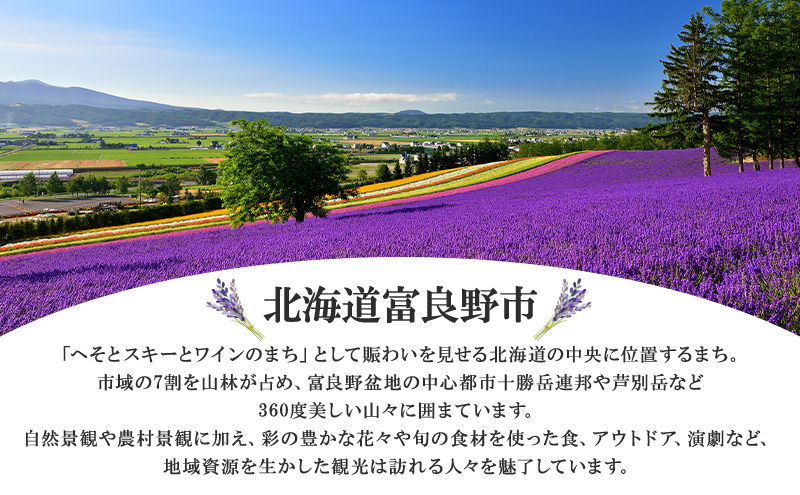 新富良野プリンスホテル 宿泊券 ダブルルーム  (ホテル 宿泊 素泊まり チケット 旅行 体験 トラベル リゾート 北海道 富良野市 ふらの)