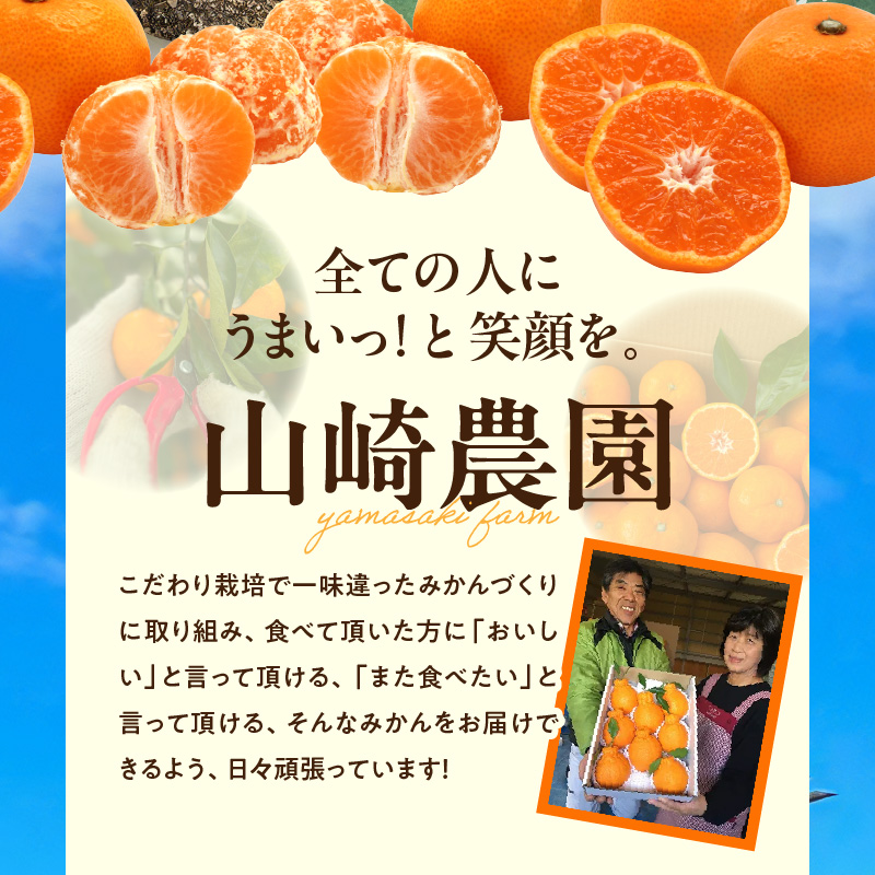 YA1001_完熟 アルギット みかん 3kg M～L サイズ
