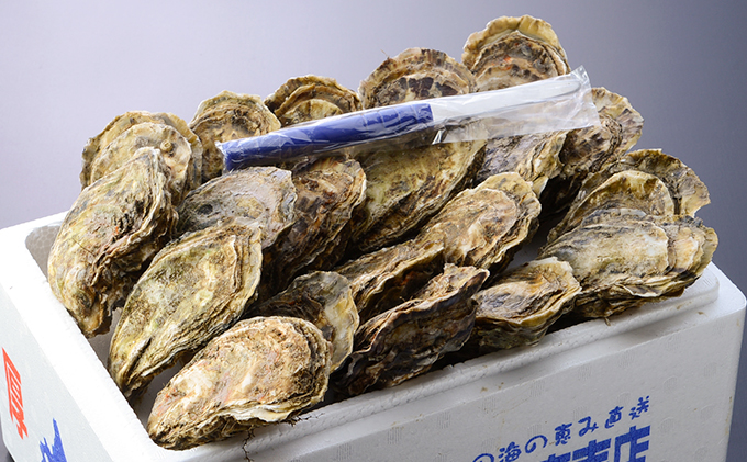 厚岸産 殻かき L 20個セット 北海道 牡蠣 カキ かき 生食  魚介類 マルえもん